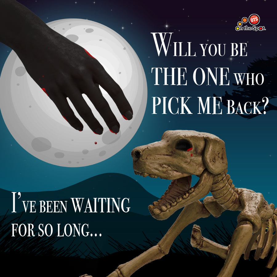 Skeleton Animals