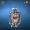 Skull Lantern