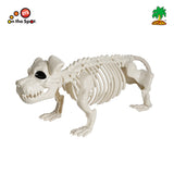 Skeleton Dog