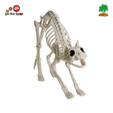 Skeleton Cat