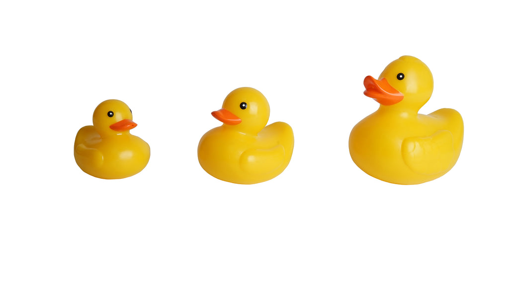 Vivi Duck