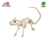 Skeleton Rat