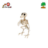 Skeleton Raven | Owl | Eagle