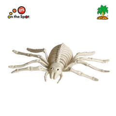 Skeleton Spider