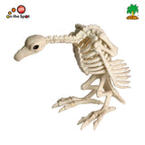 Skeleton Raven | Owl | Eagle