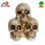3in1 Skeleton