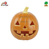 Orange Pumpkin