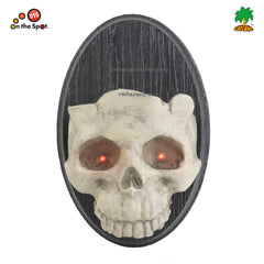 Skull on wall Decoration