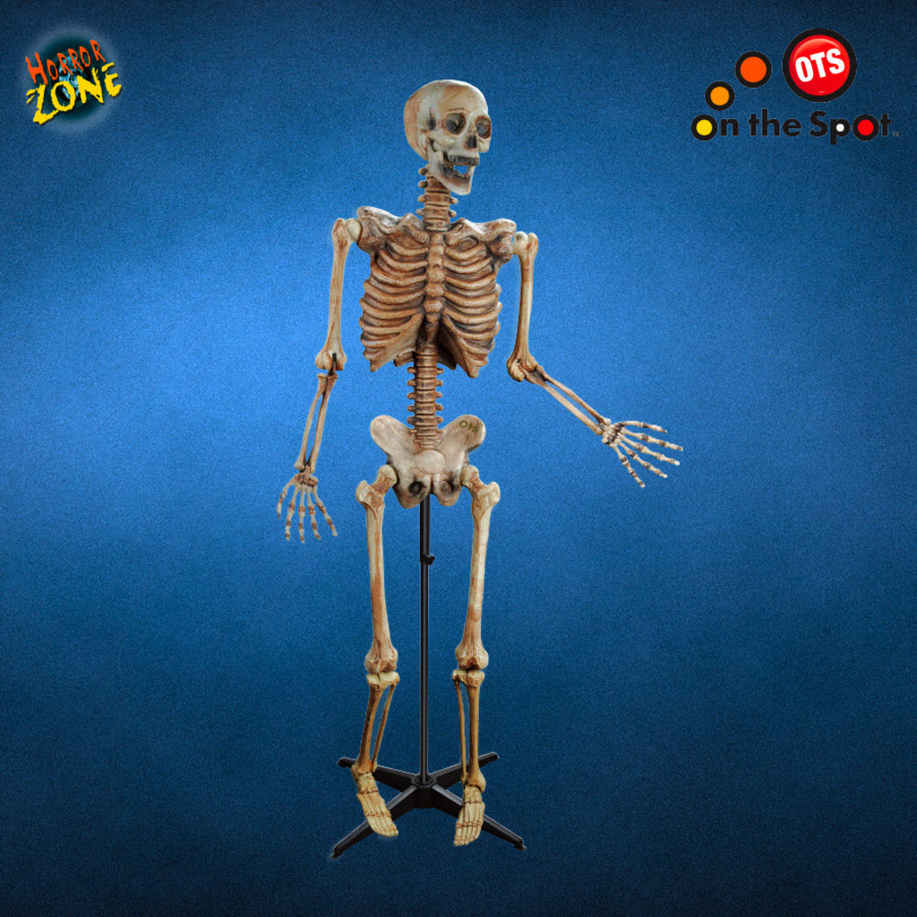 Hanging Skeleton