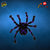 Hairy Spider