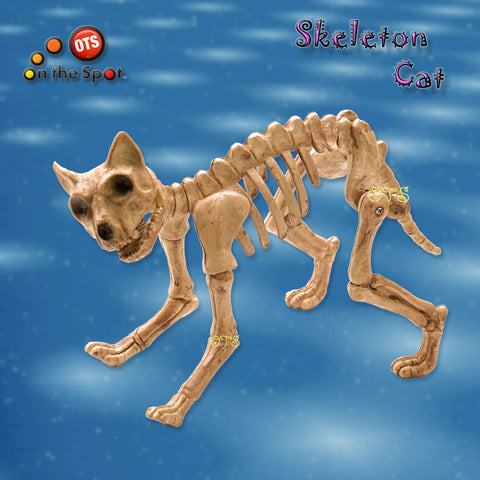 Skeleton Cat