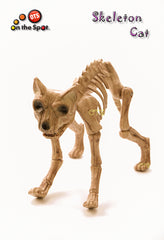 Skeleton Cat