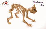 Skeleton Cat