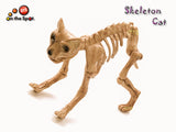 Skeleton Cat
