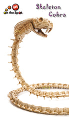 Bendable Skeleton Cobra