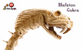Bendable Skeleton Cobra