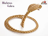 Bendable Skeleton Cobra
