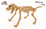 Skeleton Dog