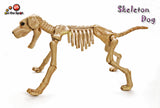 Skeleton Dog