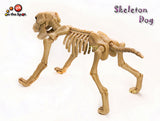 Skeleton Dog