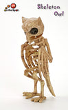 Skeleton Raven | Owl | Eagle
