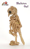 Skeleton Raven | Owl | Eagle