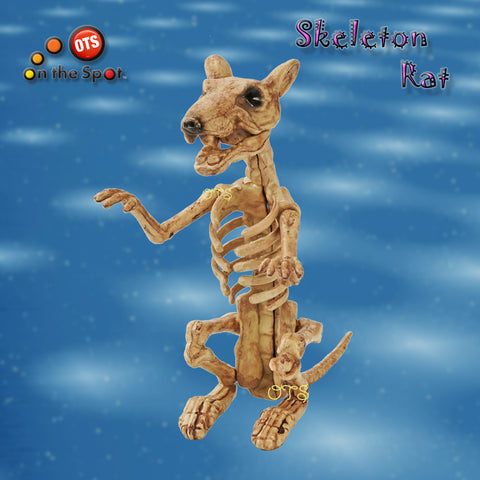 Skeleton Rat