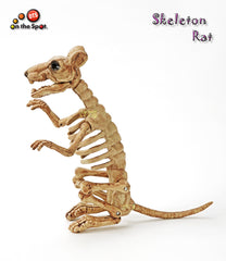 Skeleton Rat