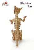 Skeleton Rat